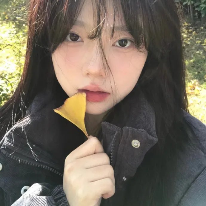 万渣朝凰第四季海报